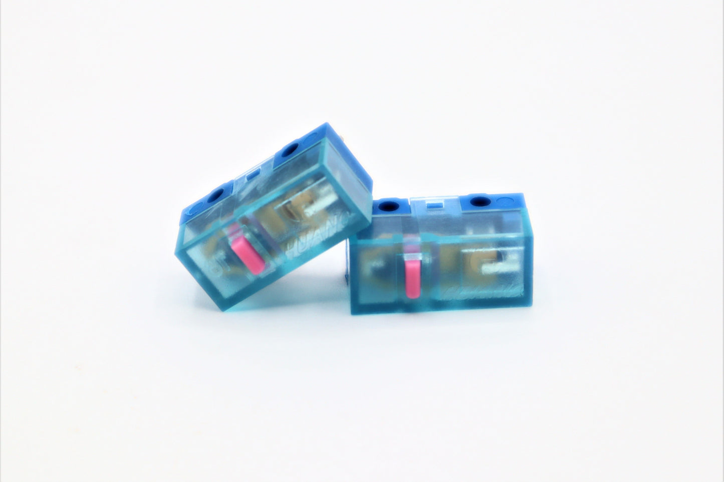 Huano Blue Shell Pink dot